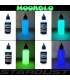 Set Complet peintures phosphorescentes