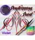Peinture pour Pinstriping 100ml