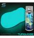 Kit complet de peinture phosphorescente pour vélo - STARDUST BIKE