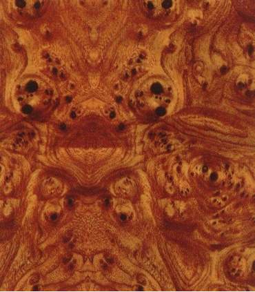 Film de transfert hydrographique GW2251