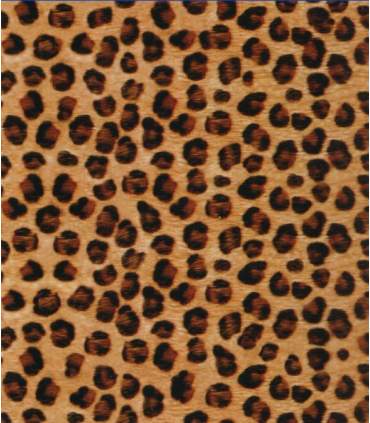 Film de transfert hydrographique