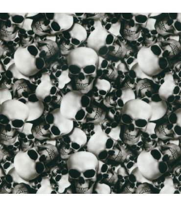 Film de transfert hydrographique