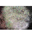 Paillettes Iridescentes Stardust - Série C