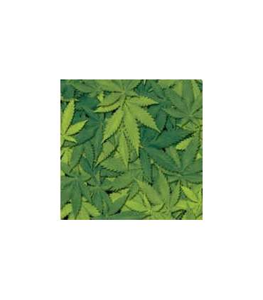 Film de transfert hydrographique