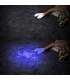 Lampe UV de type mini torche portable