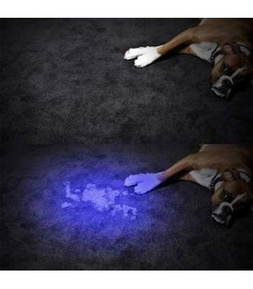 Lampe UV de type mini torche portable