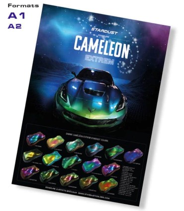 Poster Caméléon Extrem