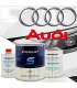PEINTURE AUDI BRILLANT DIRECT