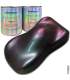 Kit 2 Litres peinture caméleon