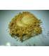 Nacres Crystal