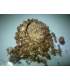 Nacres Crystal