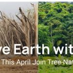 StardustColors et son engagement pour la reforestation