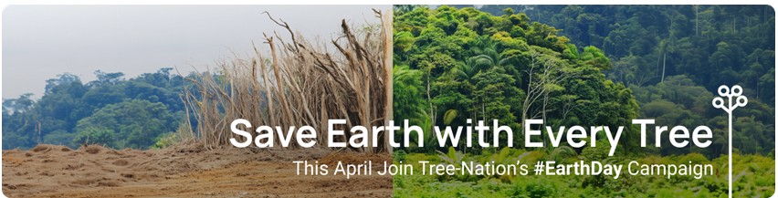 StardustColors et son engagement pour la reforestation
