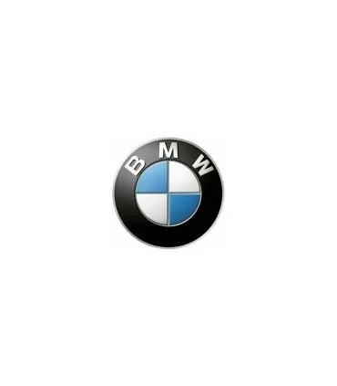 Peinture voiture BMW