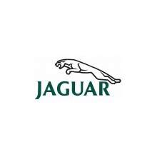 Peinture voiture JAGUAR