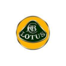 Peinture voiture Lotus