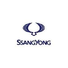 Peinture voiture SSANGYONG