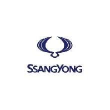 Peinture voiture SSANGYONG