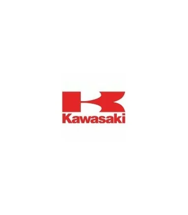 Les teintes de peinture de la marque Kawasaki