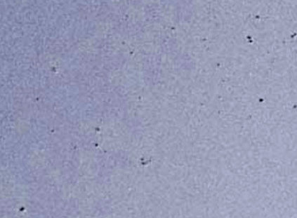 Poussières dans la base