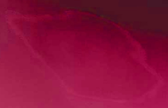 Contours liés à la pénétration du solvant