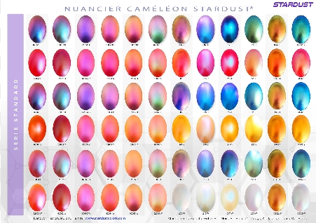 Peintures Caméléons