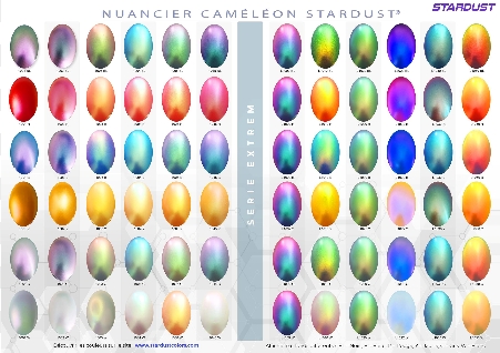 Peintures Caméléons
