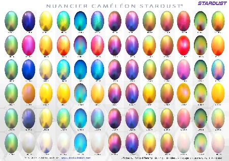 Peintures Caméléons